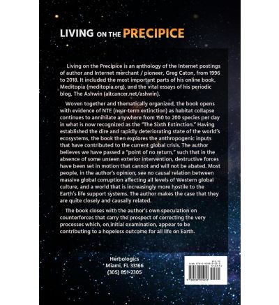 Living on the Precipice: Global Corruption, the Supremacy of Fake, and Reflections on Near Term Human Extinction -- (Paperback, 2018)