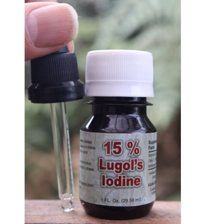 Lugol's Iodine (15%) - 1fl.oz (29.5ml)