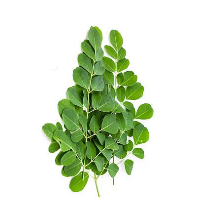 Moringa Tea 85 gm